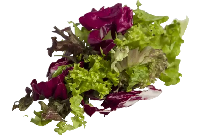 Gourmet sla mix 1 kilo stuk